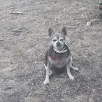 Profile Picture of Kenneth McKee (@kenneth.mckee.644867) on Facebook