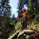 Profile Picture of Steeve Bard (@steeve.bard.54) on Facebook