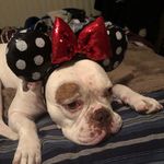 Profile Picture of Kimberly Sipes McGuire (@dirtbikerkim831) on Instagram