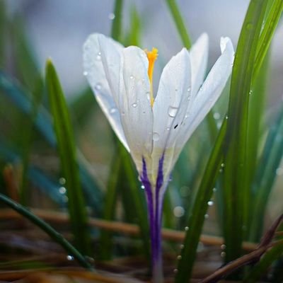 Profile Picture of Suprita Shetty (@SupritaShetty4) on Twitter