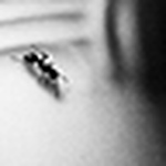 Profile Picture of Max Davydov (@endless_wanderer) on Flickr