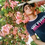 Profile Picture of Alvaro Monroy (@alvaro.monroy.718) on Instagram