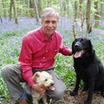 Profile Picture of David Elphick (@david.elphick) on Instagram