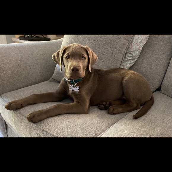 Profile Picture of Kayleigh Vanbiber (@kvanbiber) on Poshmark