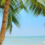 Mike Leach - Instagram Profile Picture of Mike Leach (@mikeleach45) on Instagram