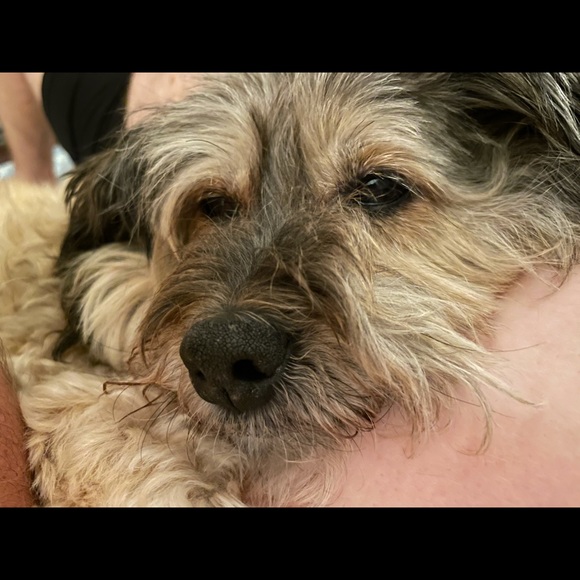 Christina Hartnell - Poshmark Profile Picture of Christina Hartnell (@chartnell) on Poshmark