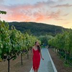 Profile Picture of Ariel Spiegel (@spiegeae) on Instagram