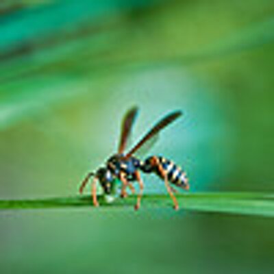 Profile Picture of Eric Hitt (@hitt_eric111) on Twitter