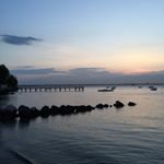 Profile Picture of Lisa Morrone (@morrli02) on Instagram