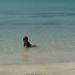 Profile Picture of Ecovegetalesdepr Jordán Ramos-Cobián (@ecovegetalesdep) on Pinterest