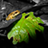 Profile Picture of donna benson (@d benson) on Flickr