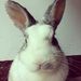 Profile Picture of En Chen Chang (@enchenc) on Pinterest