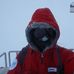 Profile Picture of Andreas Mueller (@andreas.mueller.73) on Facebook