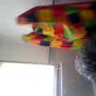 Profile Picture of yeahbabeecasey (@@yeahbabeecasey) on Tiktok