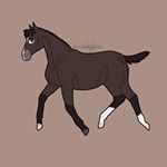 Profile Picture of Sam Phoenix Falls L. (@my.zippin.poni) on Instagram