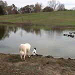 Profile Picture of Virgil L. Pool (@poolvirgil) on Instagram