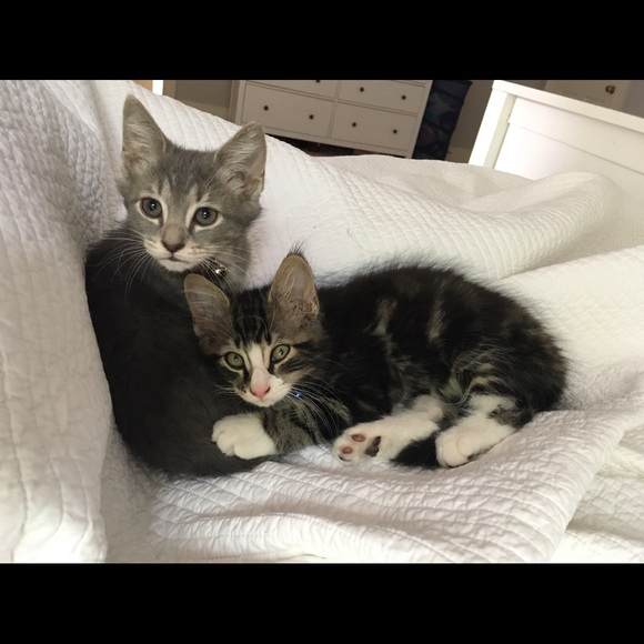 Profile Picture of Morgan Pendergast (@morgeelovesclay) on Poshmark