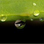 Profile Picture of Lawrence Moran (@lawrencemoran) on Instagram