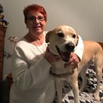 Profile Photo of Judy Lynch (@judy.lynch.961) on Instagram