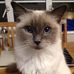 Profile Picture of Wilbur Guy (@wilbur.guy.5) on Facebook