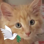 Profile Picture of Hazel Forrest (@hazel.forrest.543) on Facebook