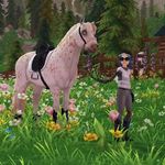 Layla Oldnest - Instagram Profile Picture of Layla Oldnest (@layla_oldnest) on Instagram