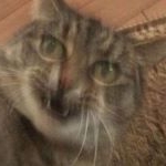 Tyler Latham - Instagram Profile Picture of Tyler Latham (@lathamtyler) on Instagram