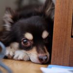 Profile Picture of Riku Mizusaki (@kurutaro7) on Instagram