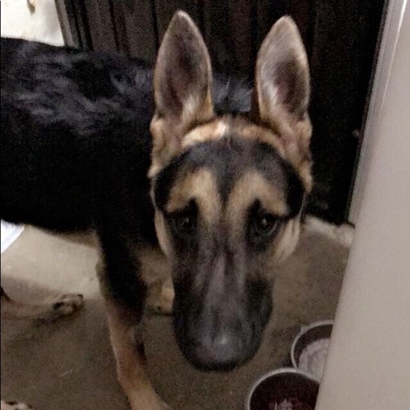 Profile Picture of Claryce Cross (@claryce77) on Poshmark