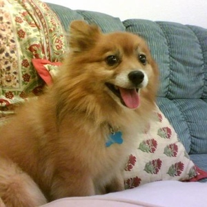 Profile Picture of Benny Foster (@bennyloganfoster) on Myspace