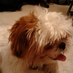 Profile Picture of Brendan Shirley (@brendan_shirley) on Twitter