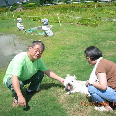 Profile Picture of Leonard Ma (@leonardma) on Twitter