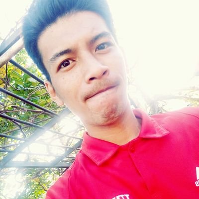 Profile Picture of Daniel Piel (@Prinsipehugot2) on Twitter