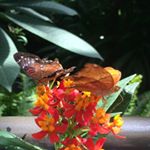 Profile Picture of Nicole Gillum (@nikkig2645) on Instagram