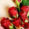 Profile Picture of Khandala Chirag (@mansi.jadiaranpara) on Facebook