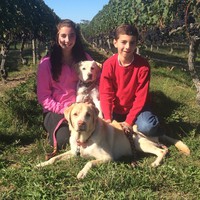 Profile Picture of Nicholas Valenti (@nicholas-valenti-9) on Quora