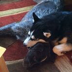 Profile Picture of Jack Mannschreck (@jack.mannschreck.5) on Facebook