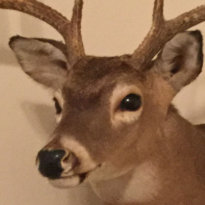 Profile Picture of Larry (@noahjurischk) on Tiktok