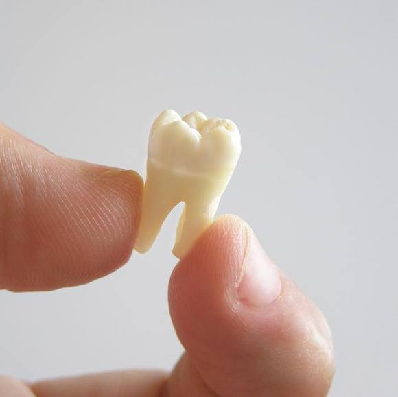 Atousa Chd - Poshmark Profile Picture of Atousa Chd (@atousa220) on Poshmark