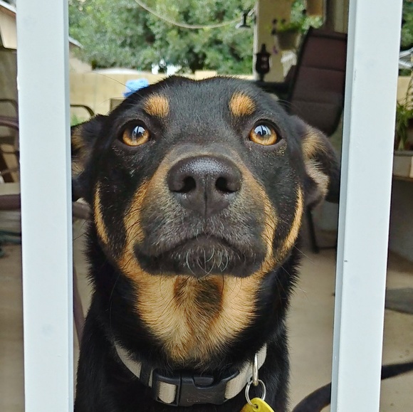 Profile Picture of Beth Brazier (@ebrazier2171) on Poshmark