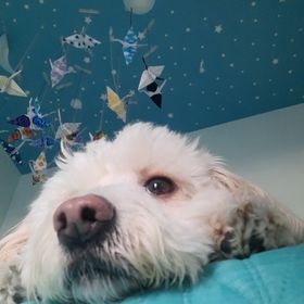 Profile Picture of 🍔𝕄𝕒𝕥𝕚𝕥𝕒🍟 (@matipanda14) on Pinterest