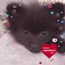 Profile Picture of Marsha Feoli (@marsha.feoli.5) on Facebook