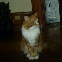 Profile Picture of Stacy Rocha (@stacy-rocha-4) on Quora