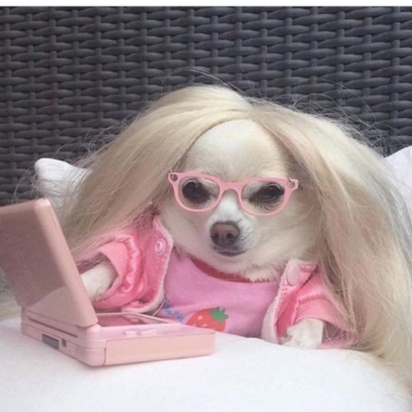 Profile Picture of Bri Wasson (@briwasson) on Poshmark