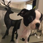 Profile Picture of Winnie Wilson (@winnie_wilson) on Instagram