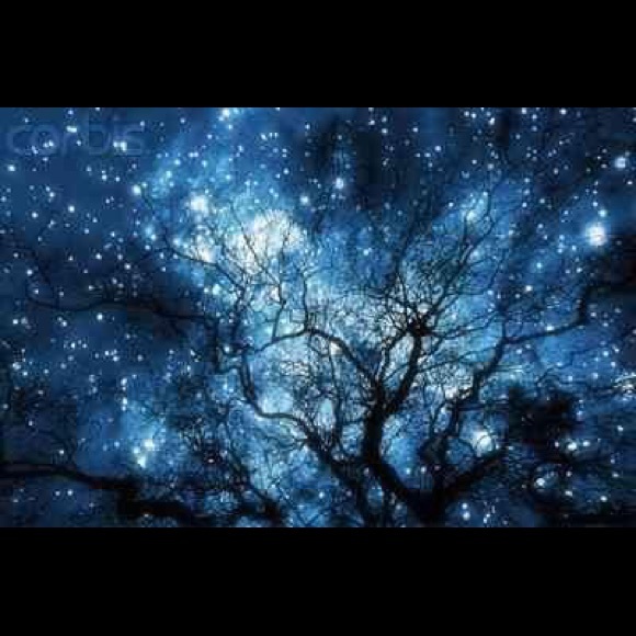 Profile Picture of Shelly Coonrod (@sillyllamas) on Poshmark