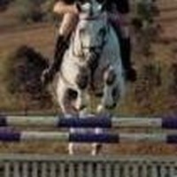 Profile Picture of Ulli Klatte (@ulli-klatte) on Quora