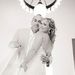 Profile Picture of Megan Schumacher (@maste066) on Pinterest