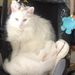 Profile Picture of David Tomasovitch (@davidtomasovitch) on Pinterest