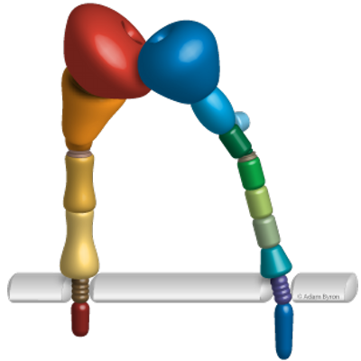 Martin Humphries Lab - Twitter Profile Picture of Martin Humphries Lab (@humphrieslab) on Twitter